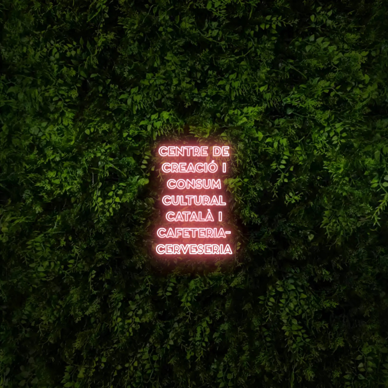 CENTRE DE
CREACIÓ I
CONSUM
CULTURAL
CATALÀ I
CAFETERIA-
CERVESERIA – Neon Sign