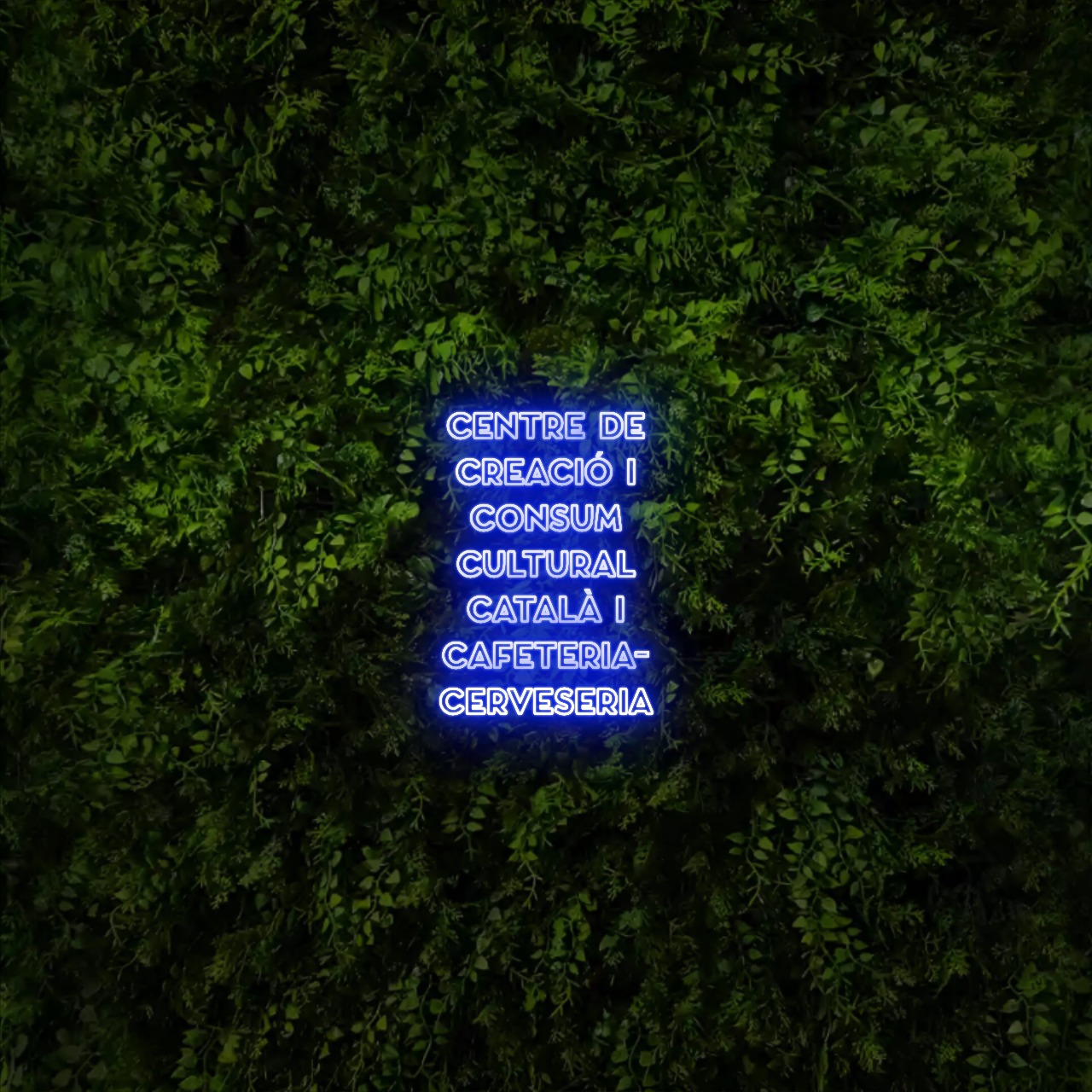 CENTRE DE
CREACIÓ I
CONSUM
CULTURAL
CATALÀ I
CAFETERIA-
CERVESERIA – Neon Sign