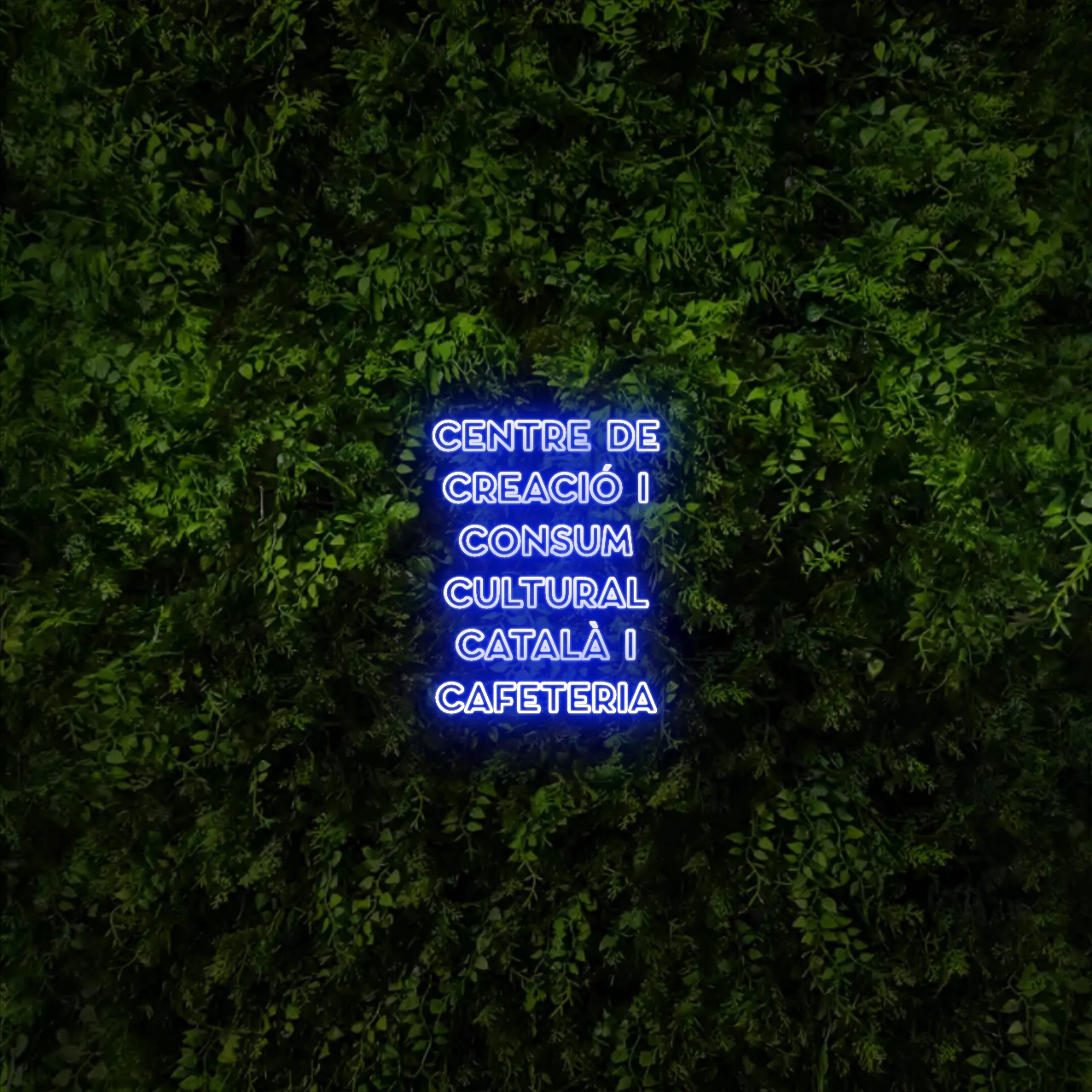 CENTRE DE
CREACIÓ I
CONSUM
CULTURAL
CATALÀ I
CAFETERIA – Neon Sign