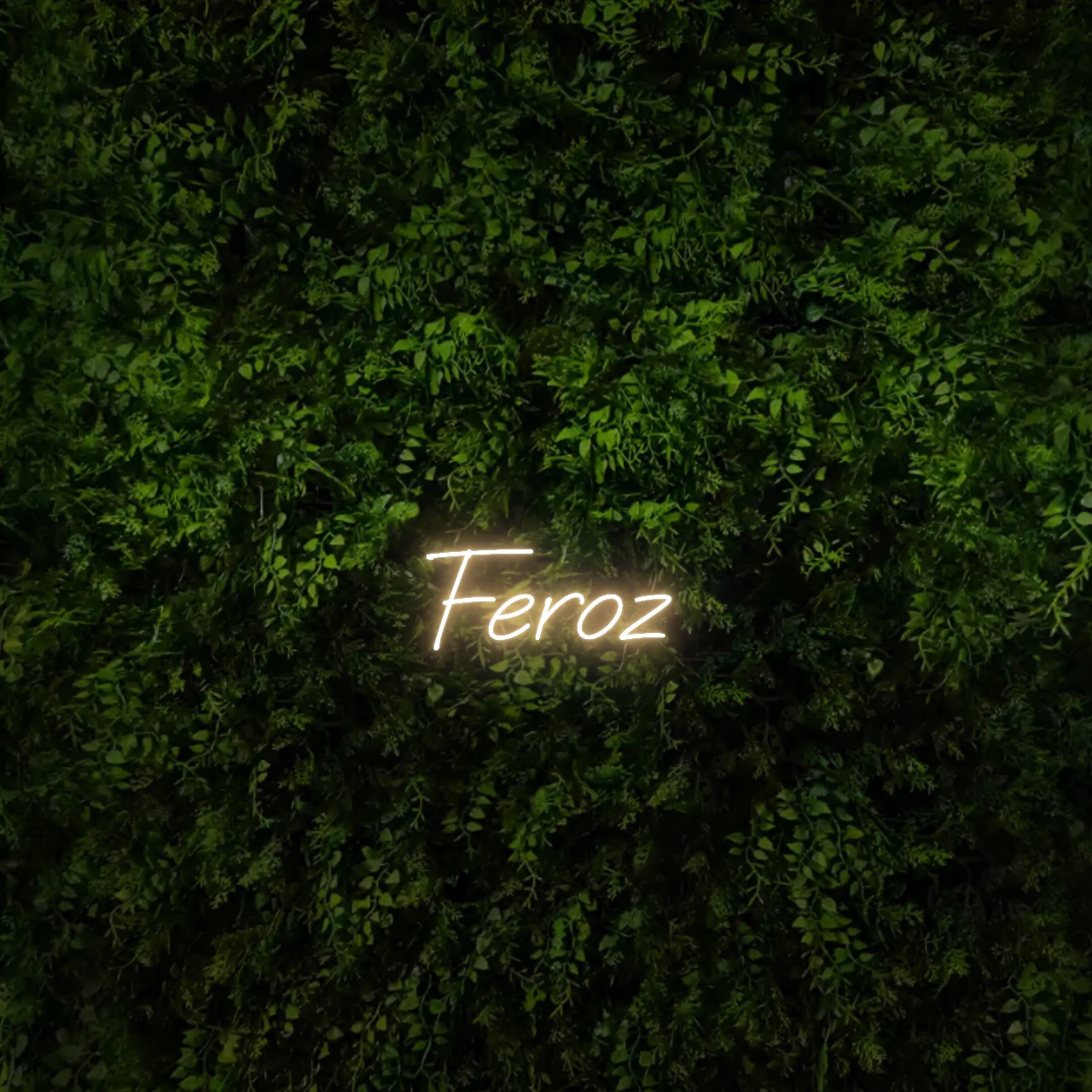 Feroz – Neon Sign