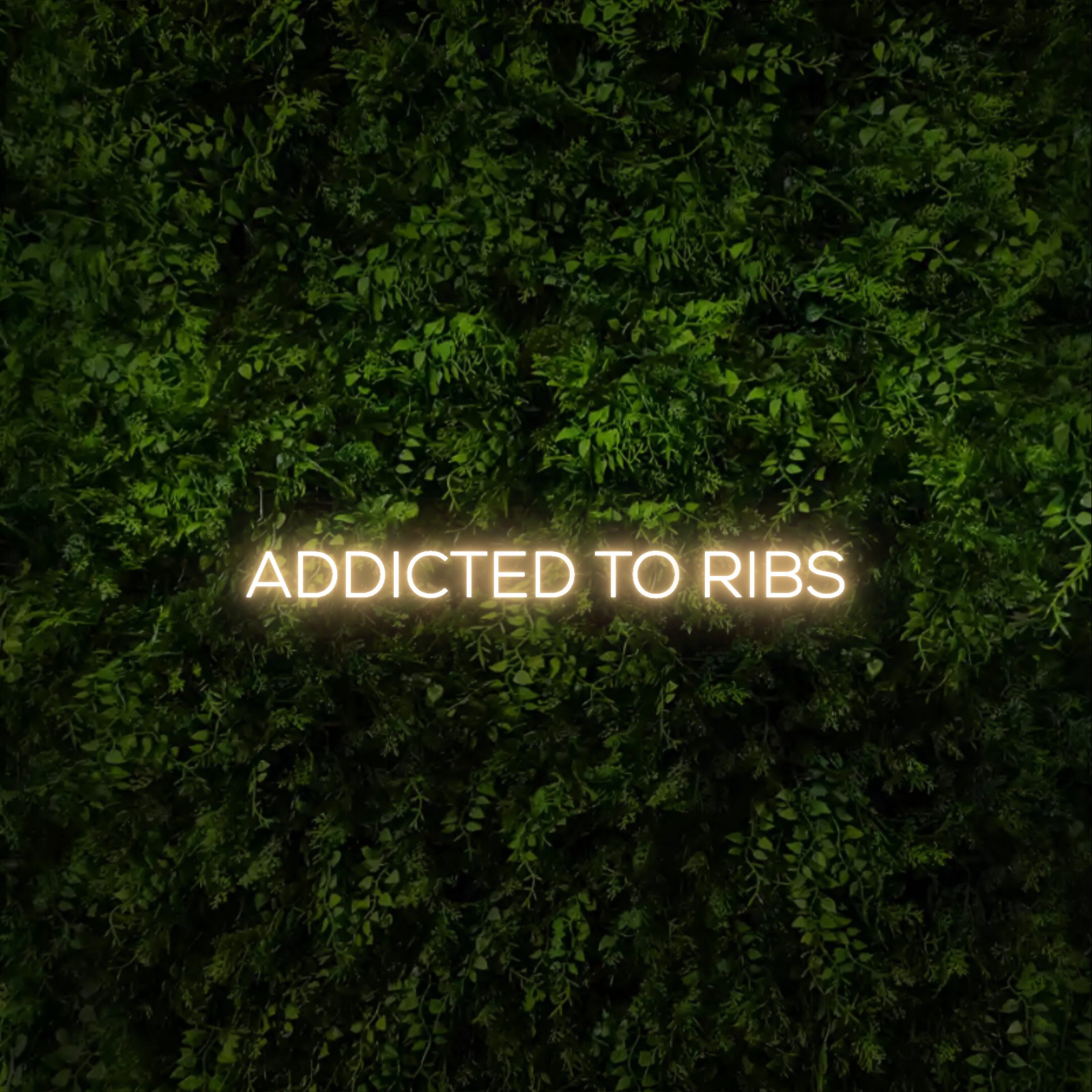 ADDICTED TO RIBS – Neon Sign