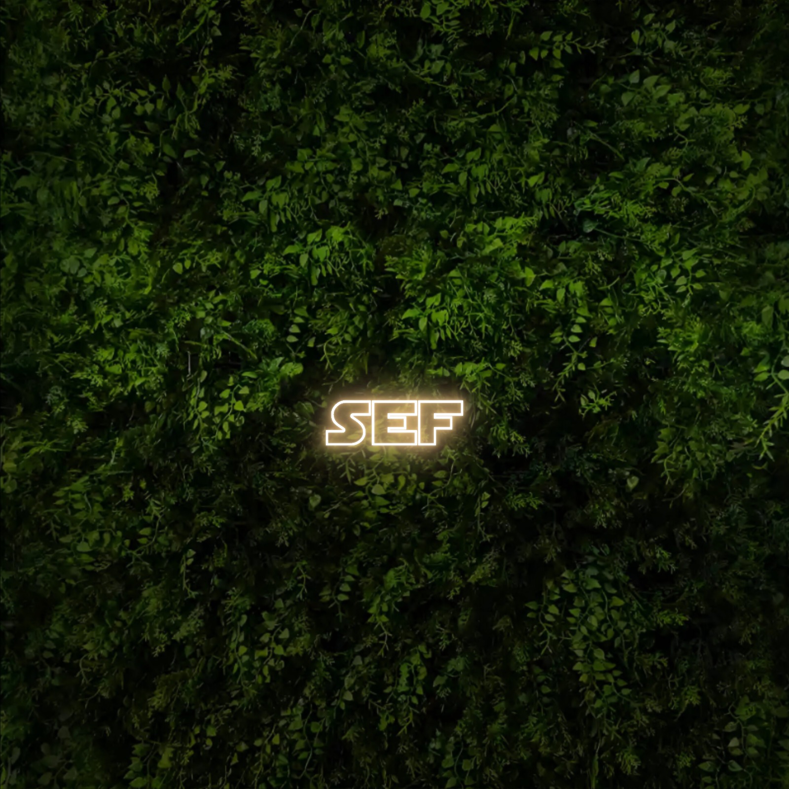 SEF – Neon Sign