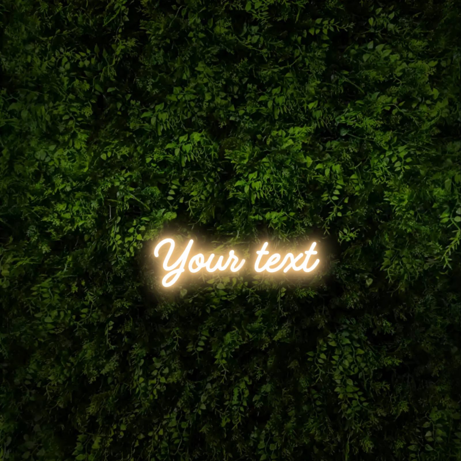 Your text – Neon Sign